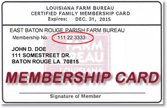 Membership and Policy Number Location